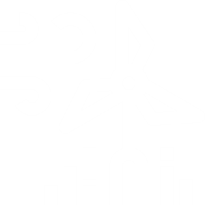 Wind Power Icon